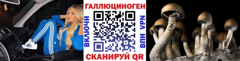 Галлюциногенные грибы прущие грибы  Купить где  Красково 